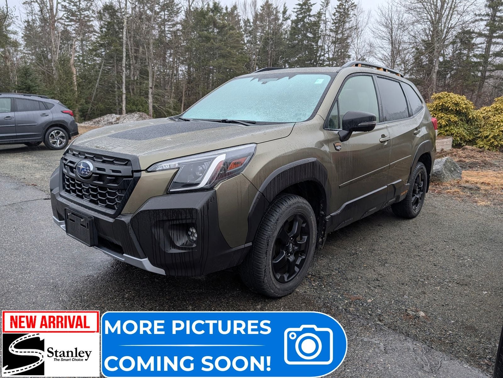 2023 Subaru Forester Wilderness