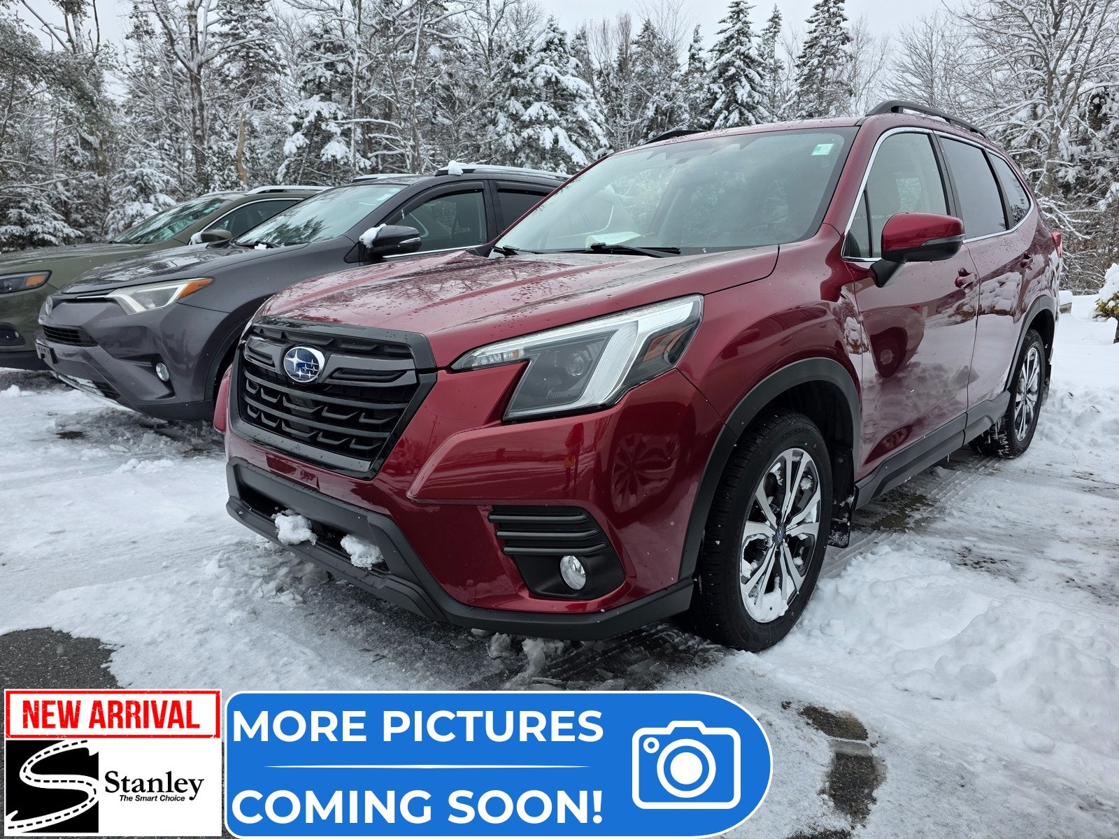 2023 Subaru Forester Limited